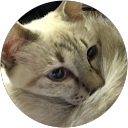 Rozida Fadhli profile picture