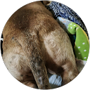 Jikki K profile picture
